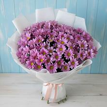 Букет цветов из:  Хризантемы в Алагире