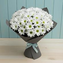 Букет белые хризантемы #REPLACE_PRED# Алагире Букет цветов из:  Хризантемы #REPLACE_PRED# Алагире